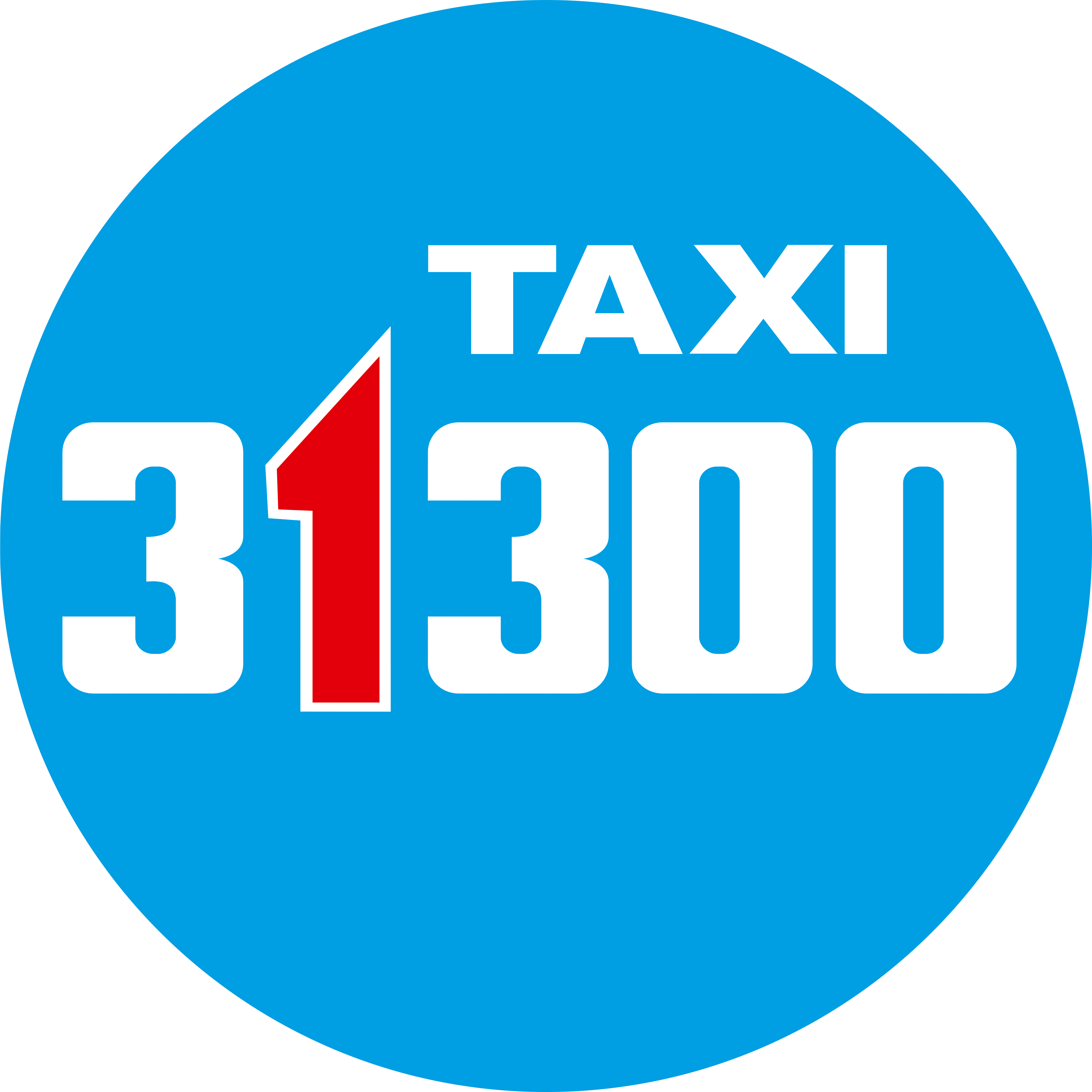 Logo Taxi 31300